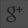 Google Plus icon