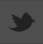 Twitter icon