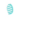 NYNS - Fillings