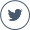 Twitter Logo